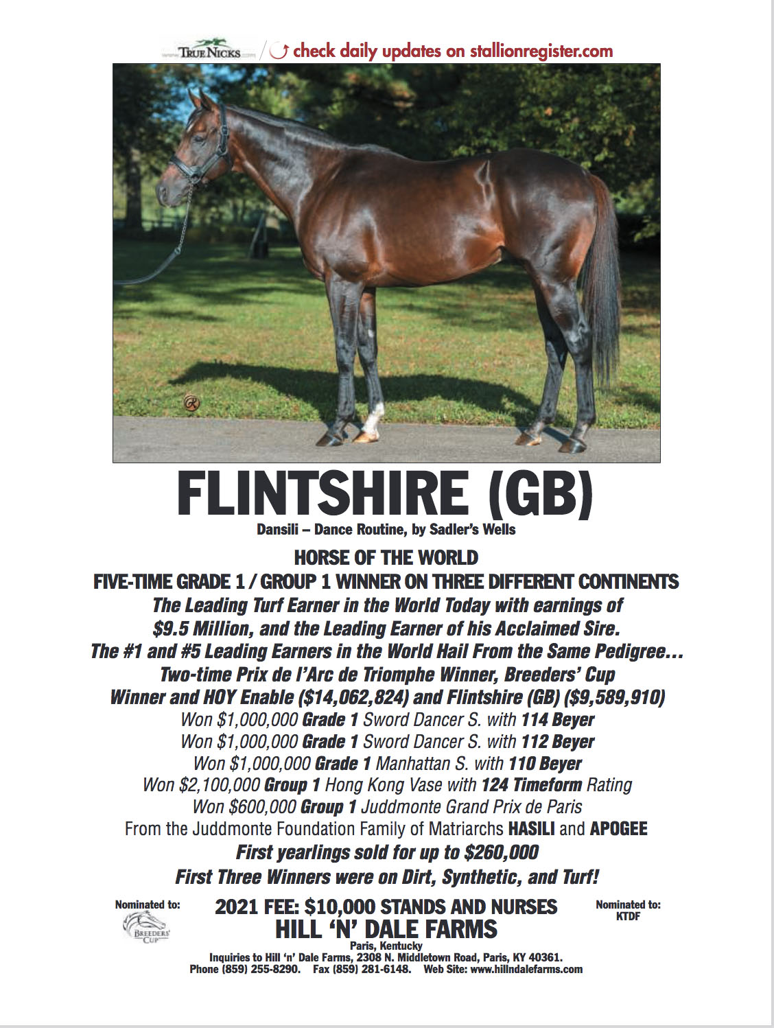 FLINTSHIRE (GB) Equisales