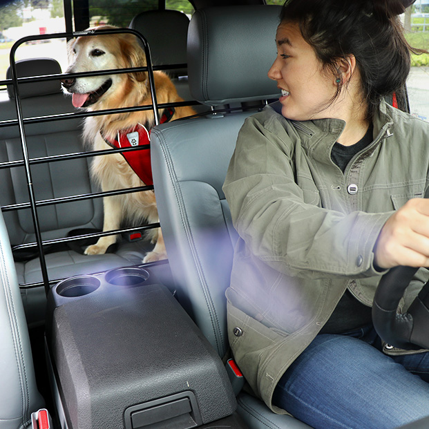 The Zookeeper The World’s Best Dog Barrier That Moves With Your Seats