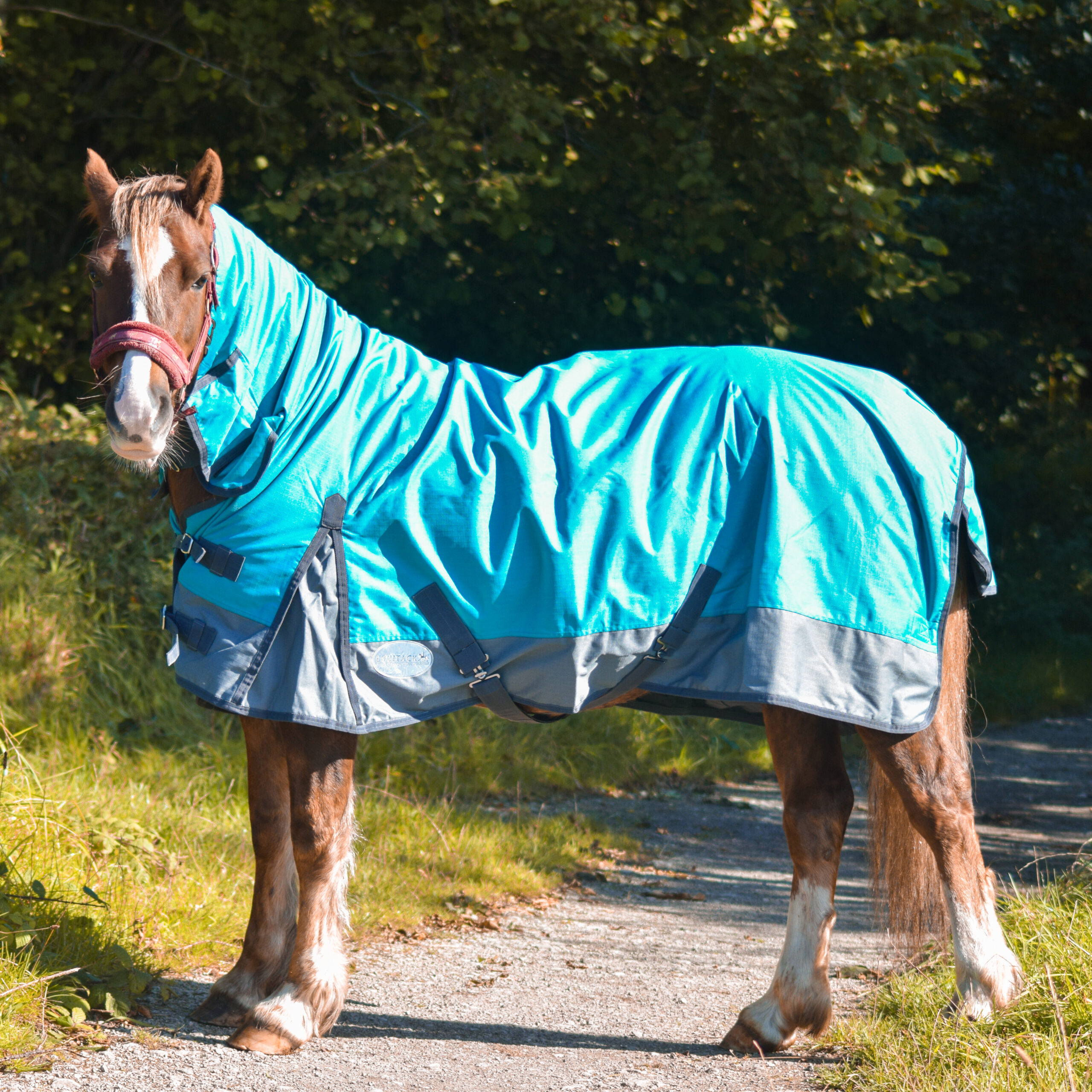 Outdoor Winter Turnout Horse Rugs 50g COMBO Full Neck Aqua/Grey 5'36'9