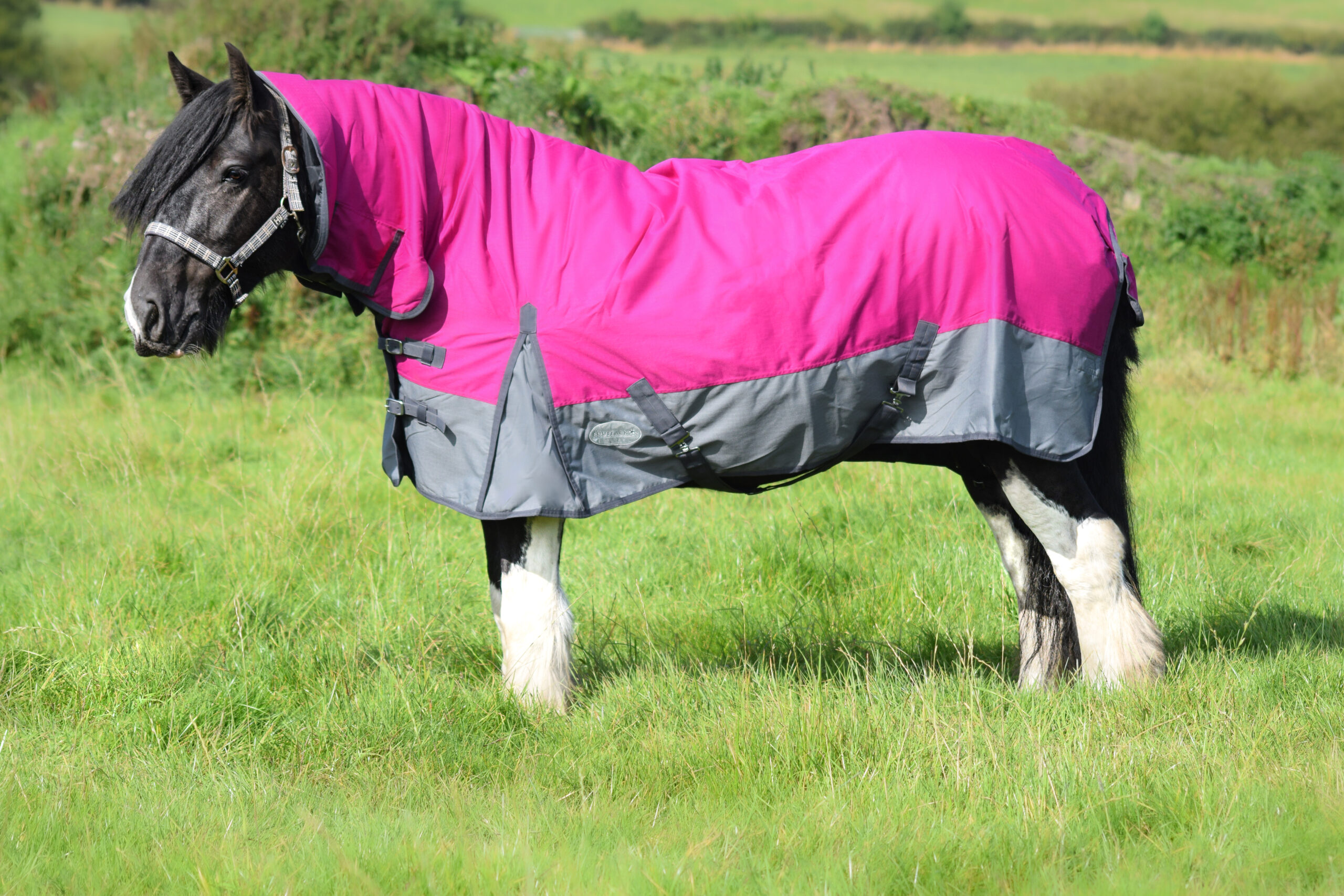 Lite Turnout 600 Denier Horse Rug Waterproof Combo Neck Raspberry/Grey 5'3 6'9 Equitack