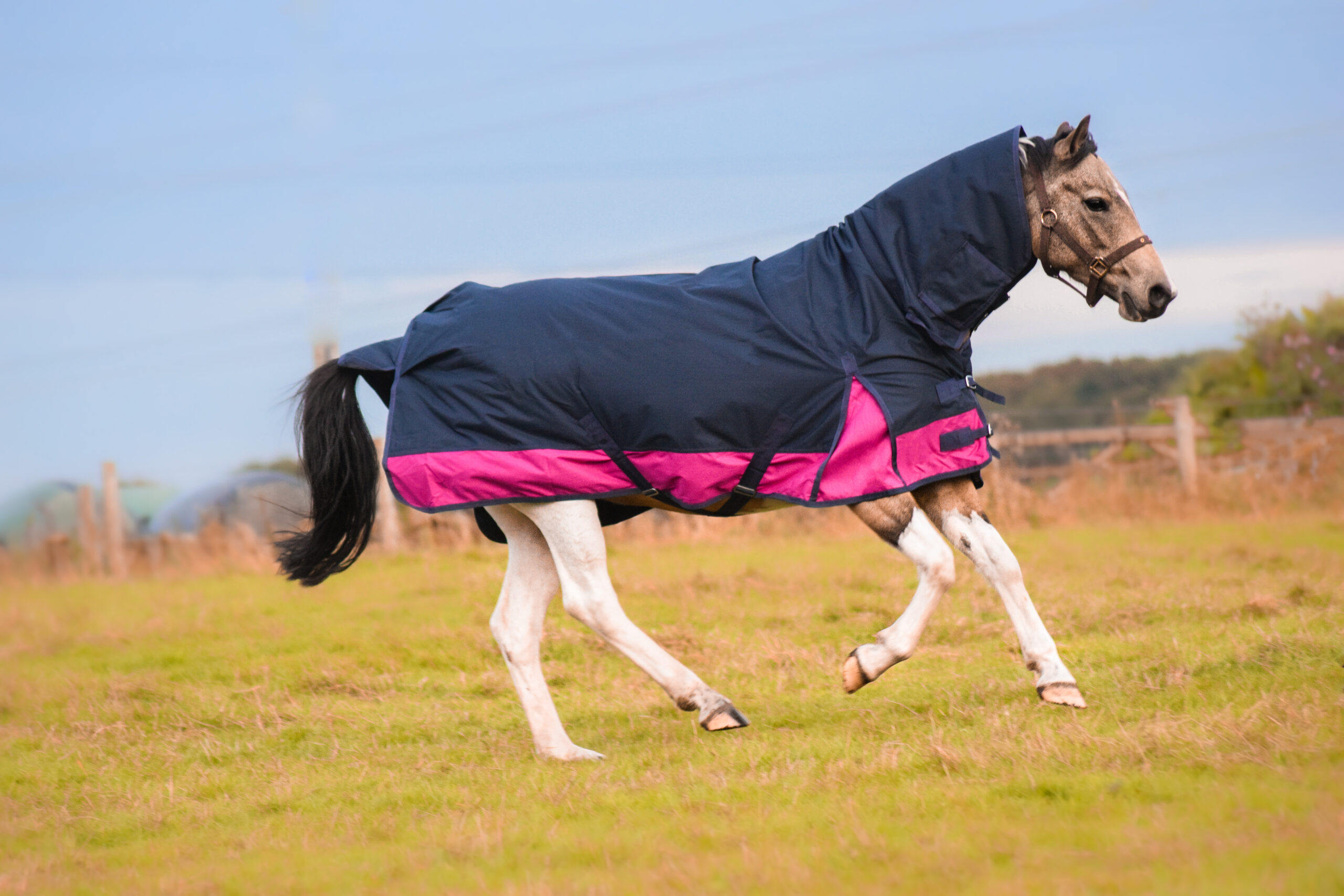 Lite Turnout 600 Denier Horse Rug Waterproof Combo Neck Navy/Raspberry 4'6 7'3 Equitack