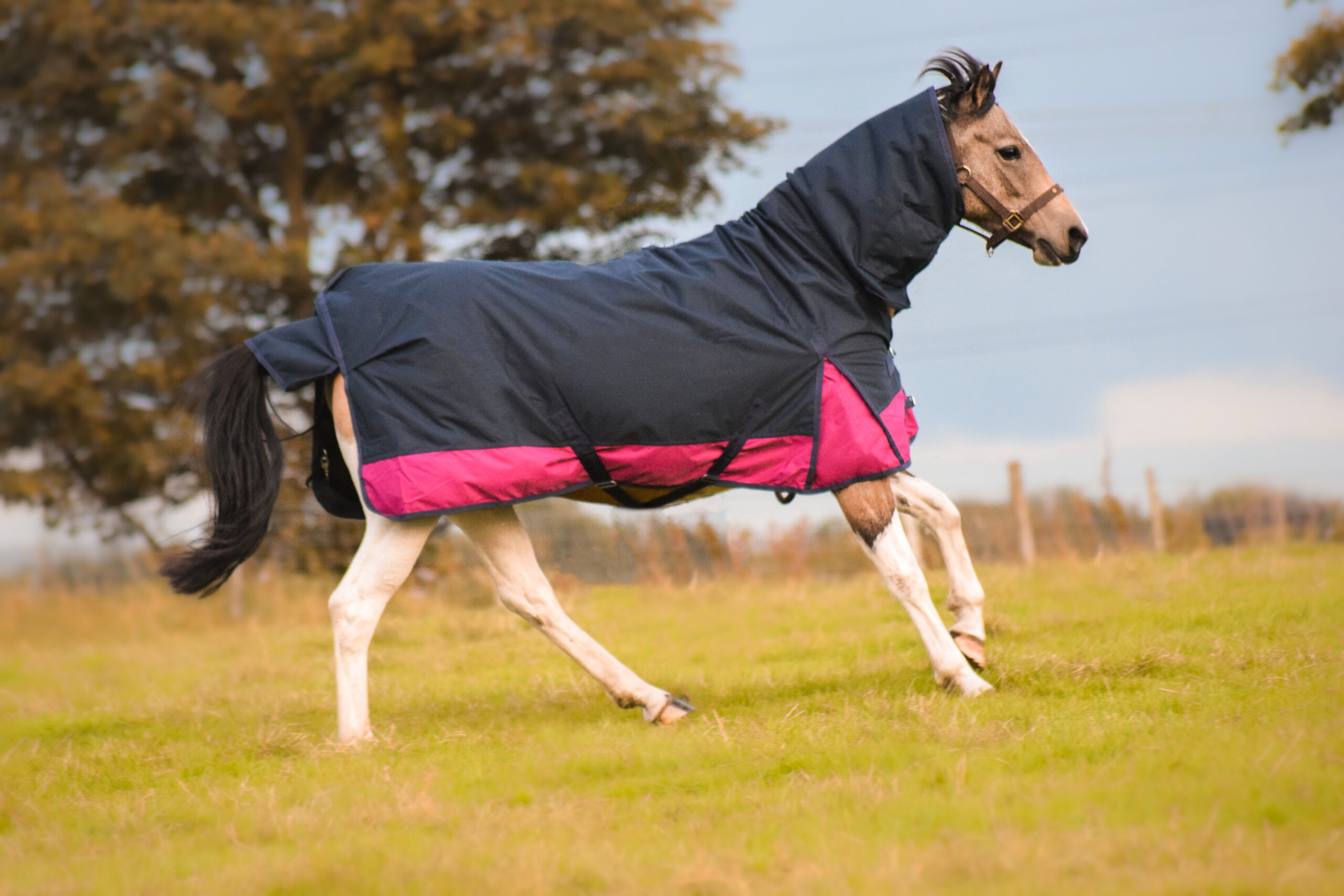 Outdoor Winter 600 Denier Turnout Horse Rugs 150G Combo Navy/Raspberry