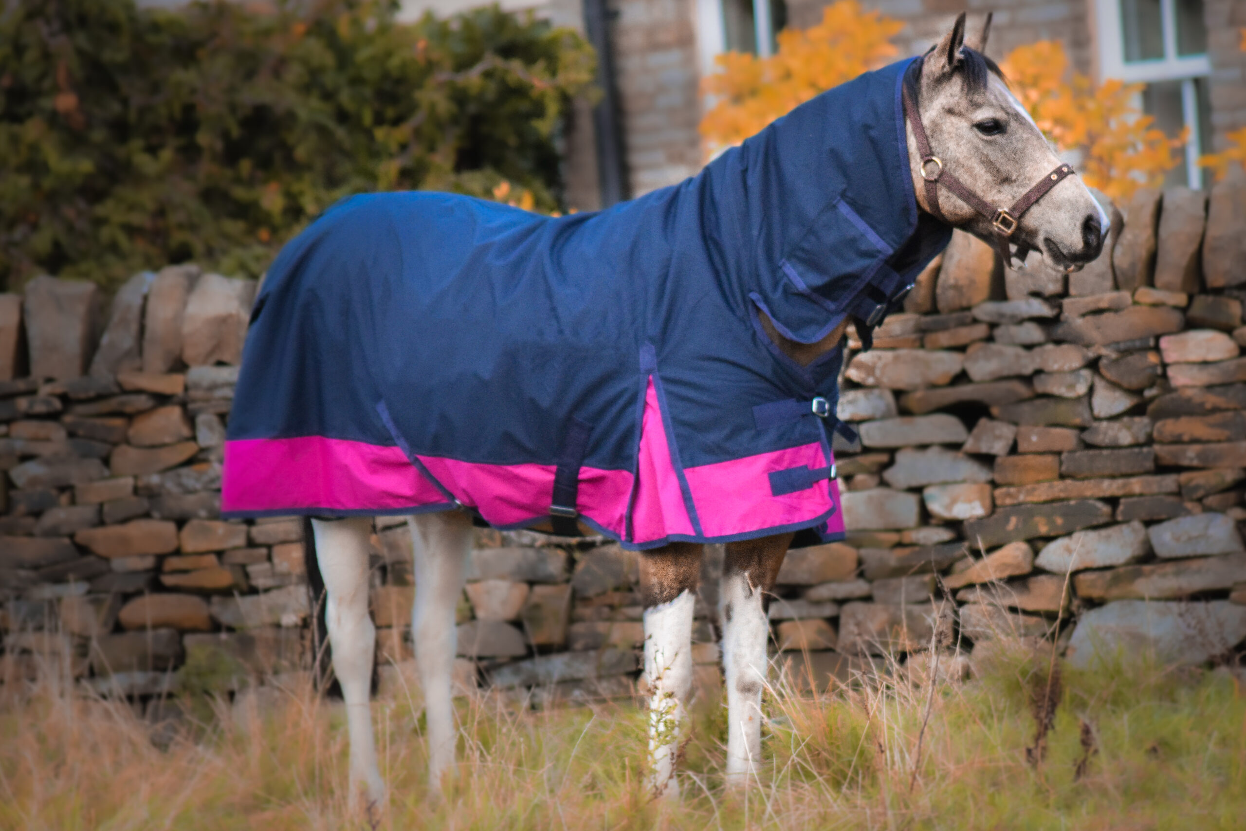 600D Mediumweight Winter Turnout Horse Rugs Combo Neck 50g Navy
