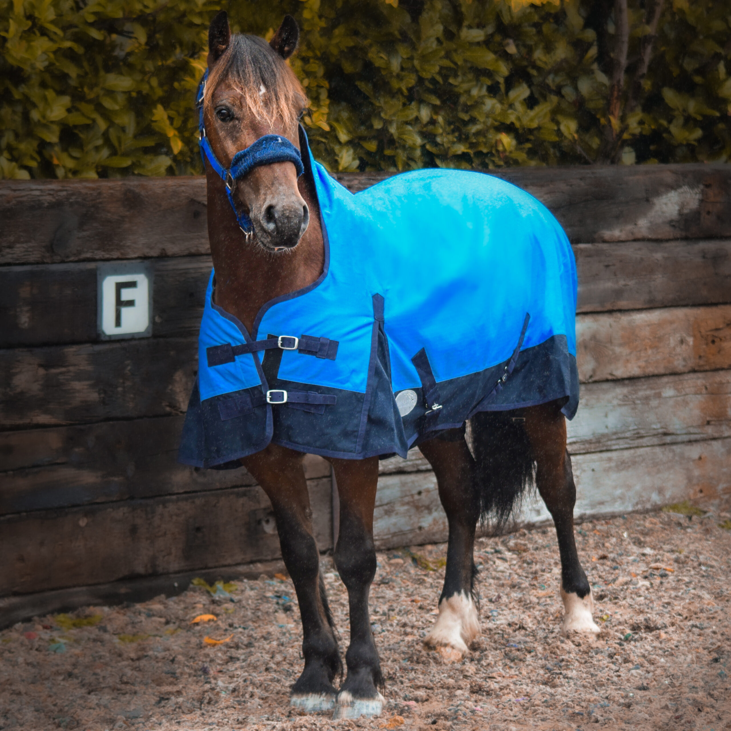 600 Denier Mediumweight 50g Horse Turnout Rug HALF Neck Outdor Blue