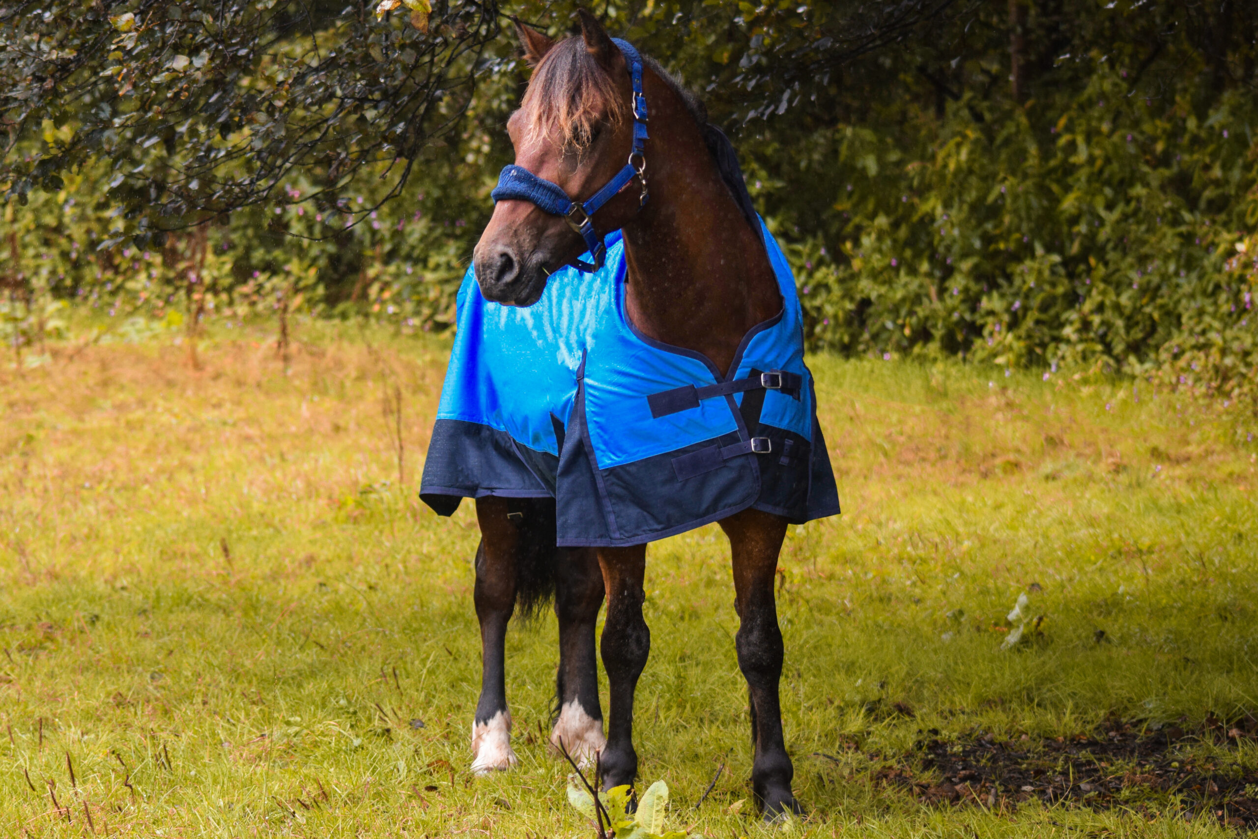 600 Denier Mediumweight 50g Horse Turnout Rug HALF Neck Outdor Blue