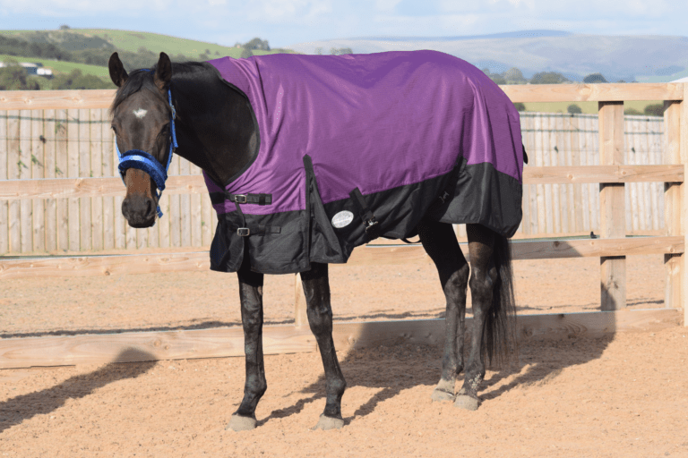Outdoor Mediumweigt Turnout Horse Rugs 100g HALF Neck Tefln Purple