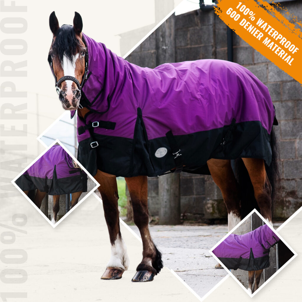 600D Outdoor Winter Turnout Horse Rugs 50G Fill COMBO Full Neck Purple