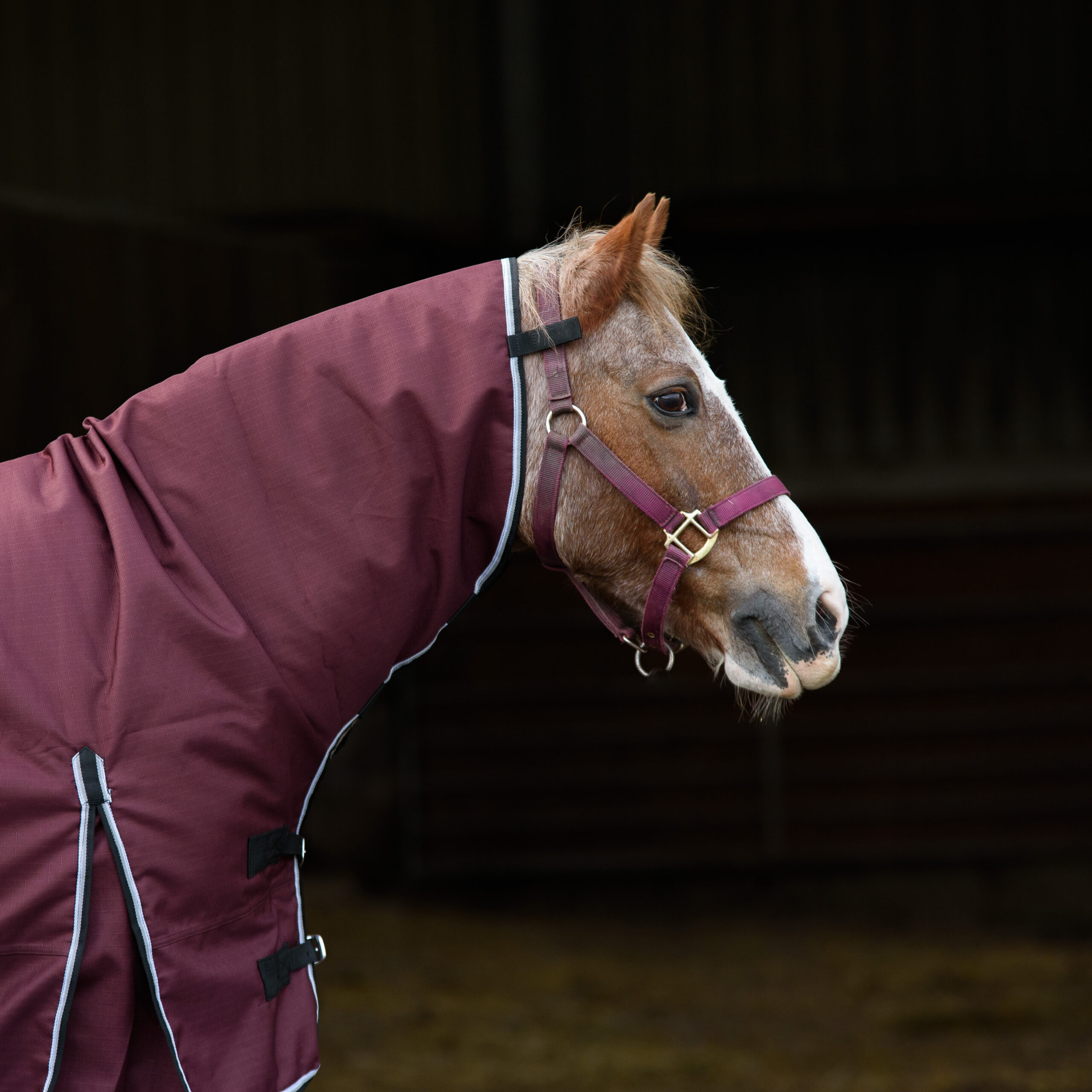 1200D Outdoor Winter Turnout Horse Rugs 100G Fill Combo Neck Teflon Red