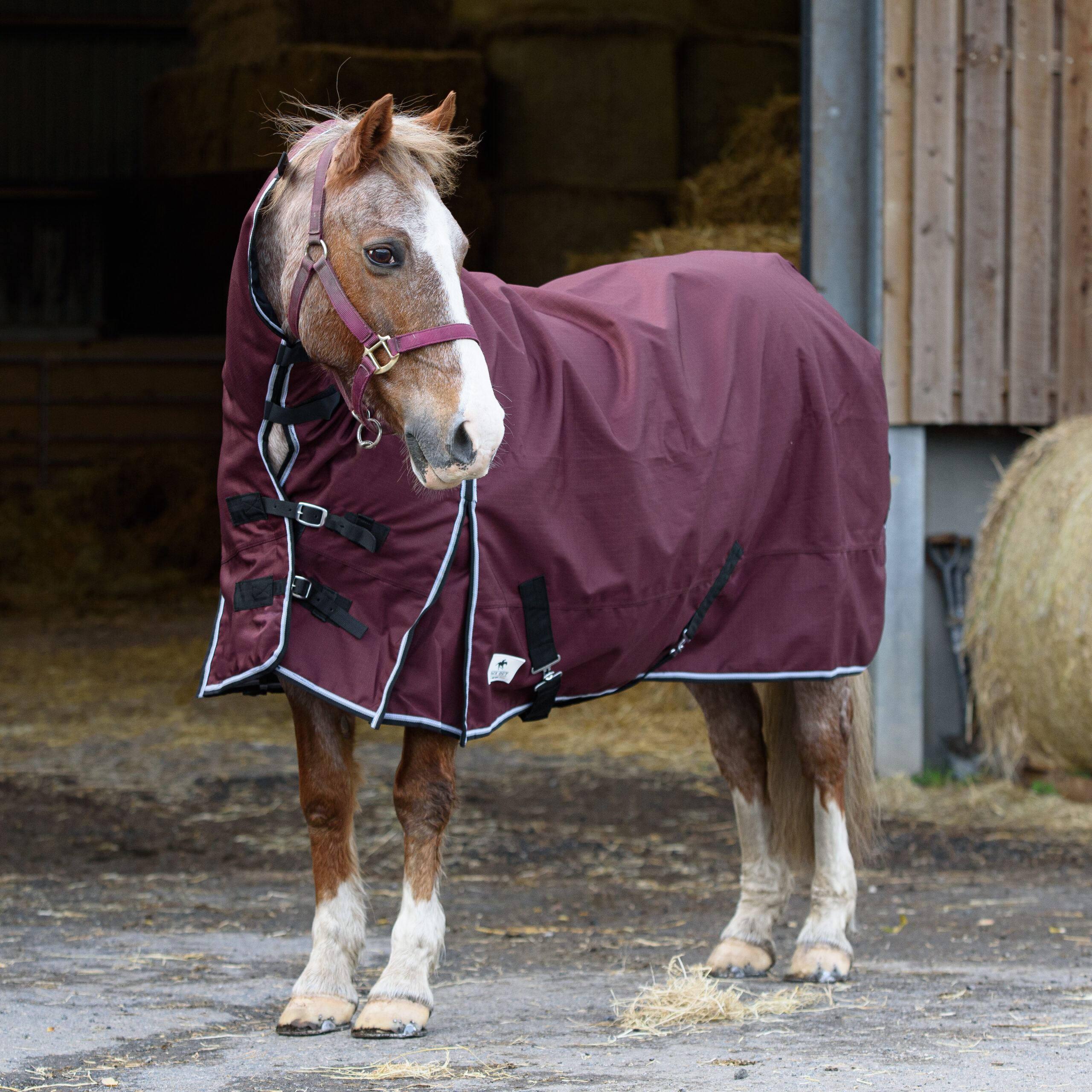1200 Denier Lite Rain Horse Turnout Rug Waterproof Teflon Combo Neck