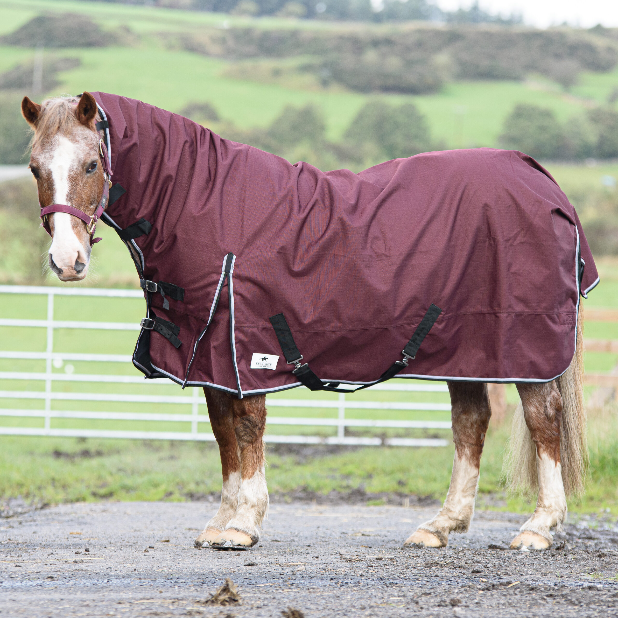1200 Denier Lite Rain Horse Turnout Rug Waterproof Teflon Combo Neck