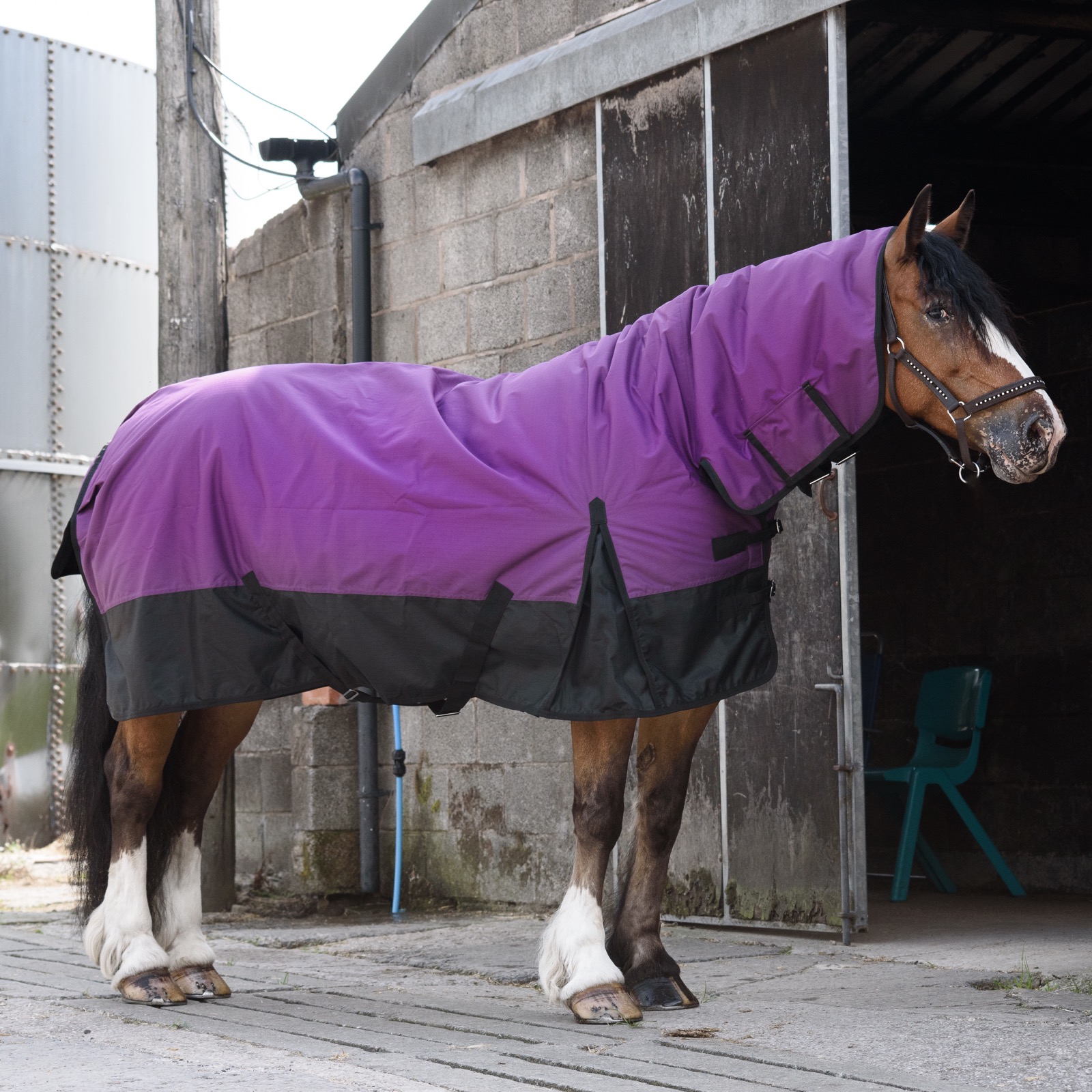 600D Outdoor Winter Turnout Horse Rugs 350G Fill Combo Neck Purple