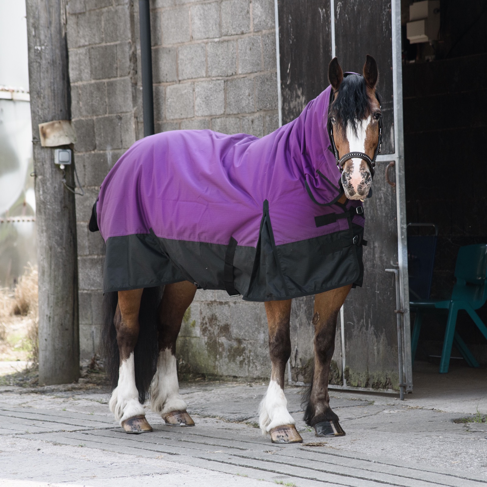600D Outdoor Winter Turnout Horse Rugs 350G Fill Combo Neck Purple