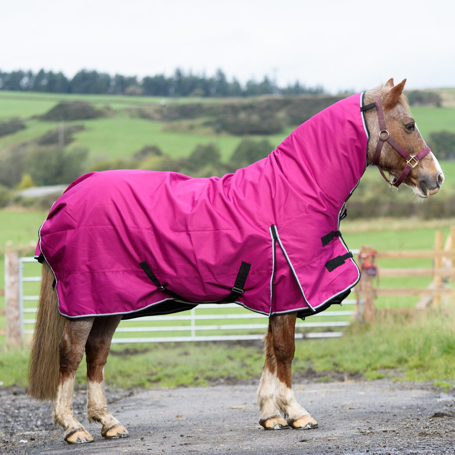 1200D Outdoor Winter Turnout Horse Rugs 50G Fill Combo Teflon Raspberry