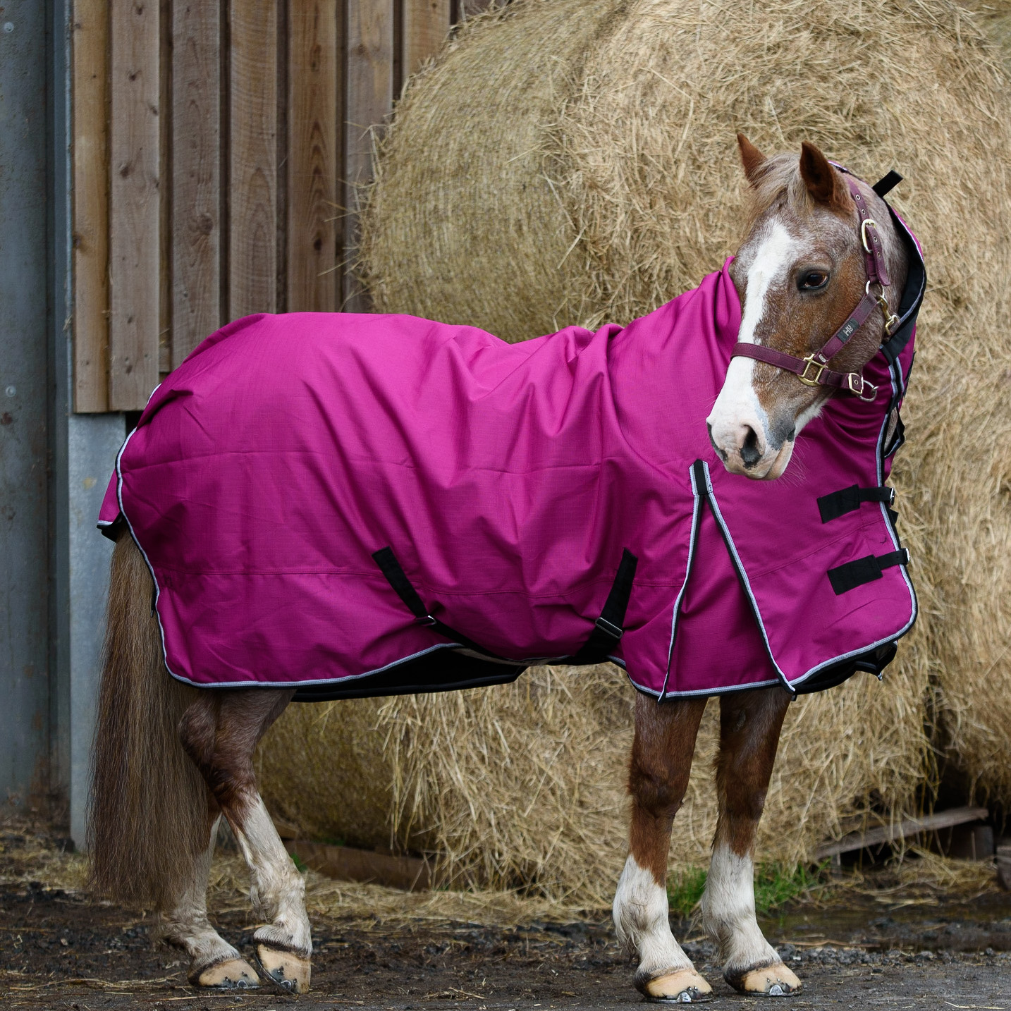 1200D Outdoor Winter Turnout Horse Rugs 50G Fill Combo Teflon Raspberry 5'36'9 Equitack
