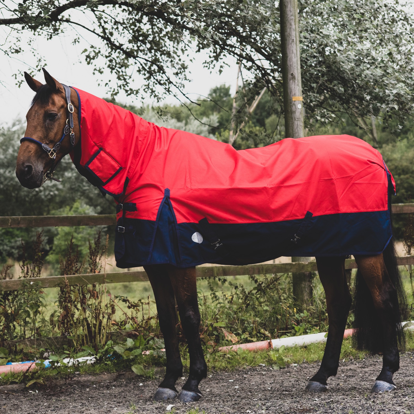 1200D Lightweight Turnout Horse Rug Waterproof Combo Full Neck Red/Navy