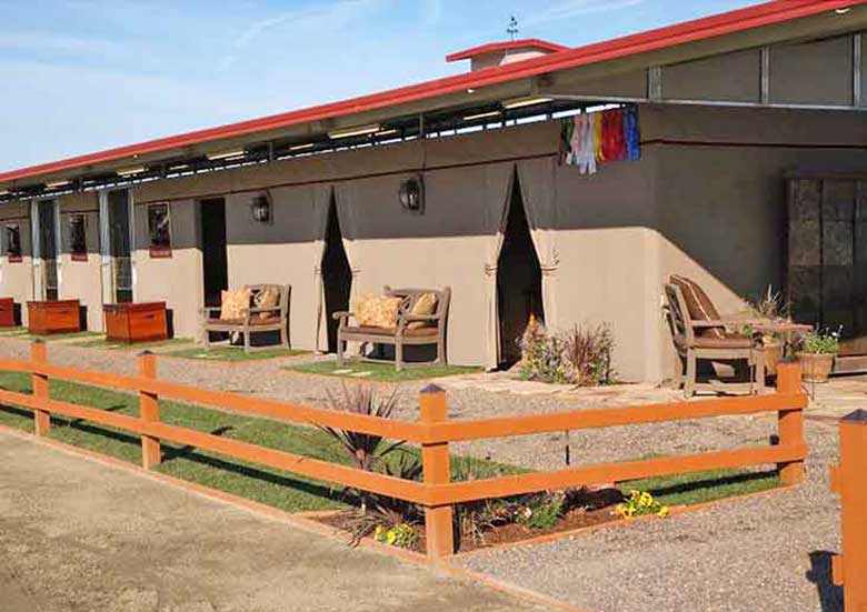 Stall Drapes Equitex