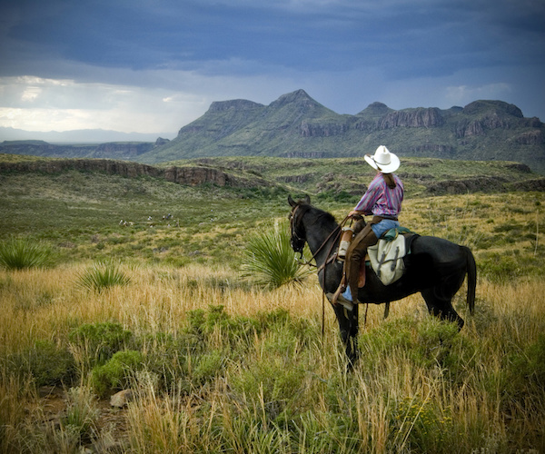 Top Texas Parks for Horseback Riding Equitrekking