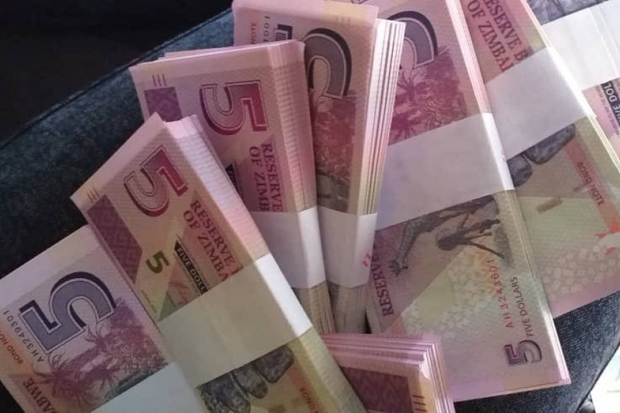 Currency conundrum Zim dollar continues on back foot