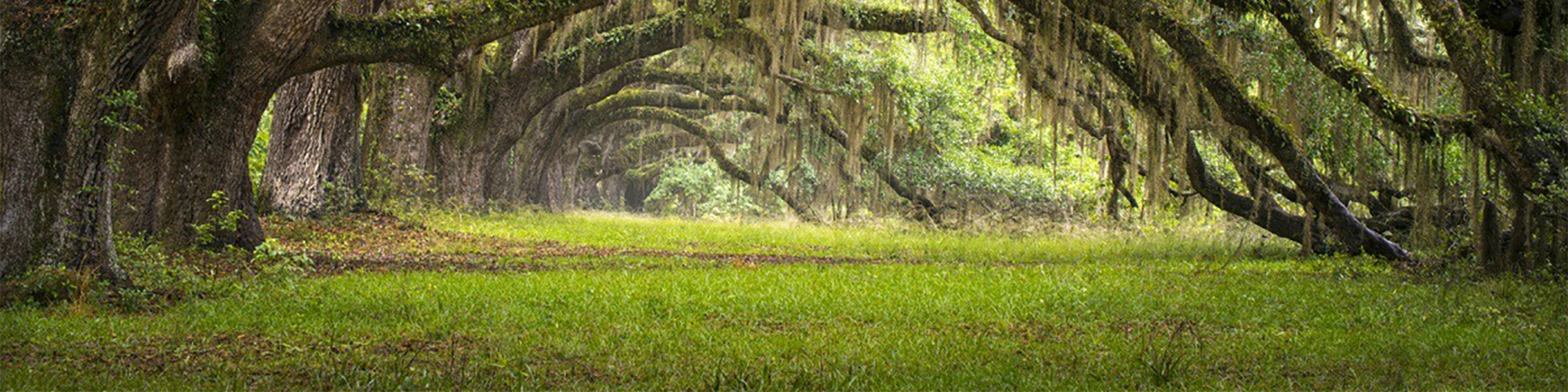 Yemassee, South Carolina Merchant Services Provider Merchant Solutions Equity Payment, Inc.