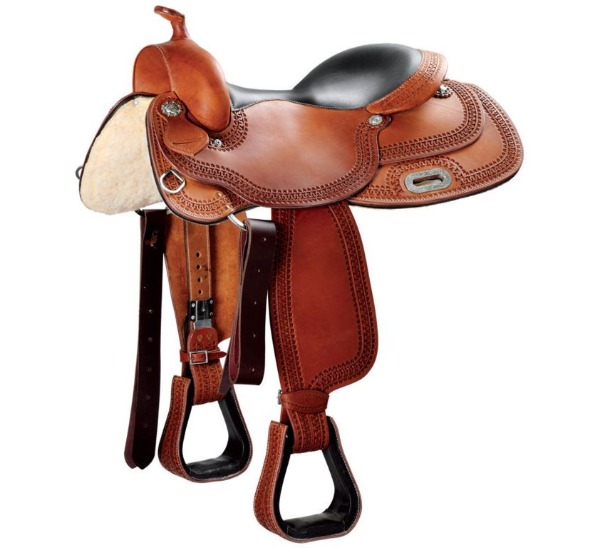 Equivendor The Global Equine Marketplace