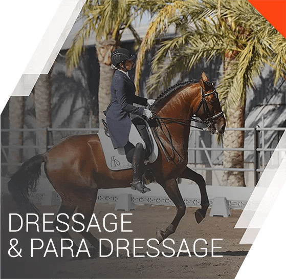 Equestrian equipment Equspaddock