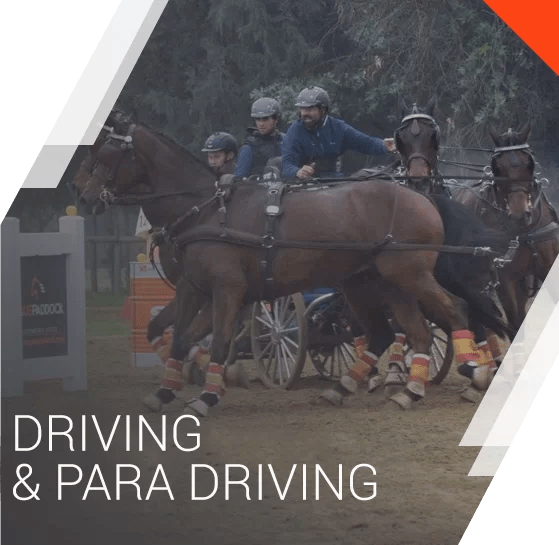 Equestrian equipment Equspaddock