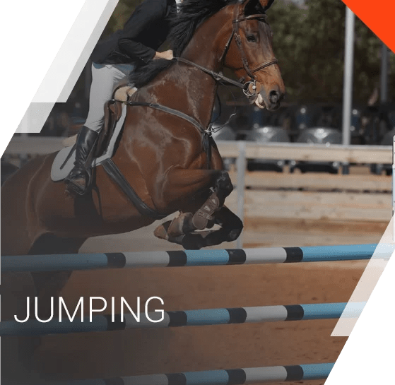 Equestrian equipment Equspaddock