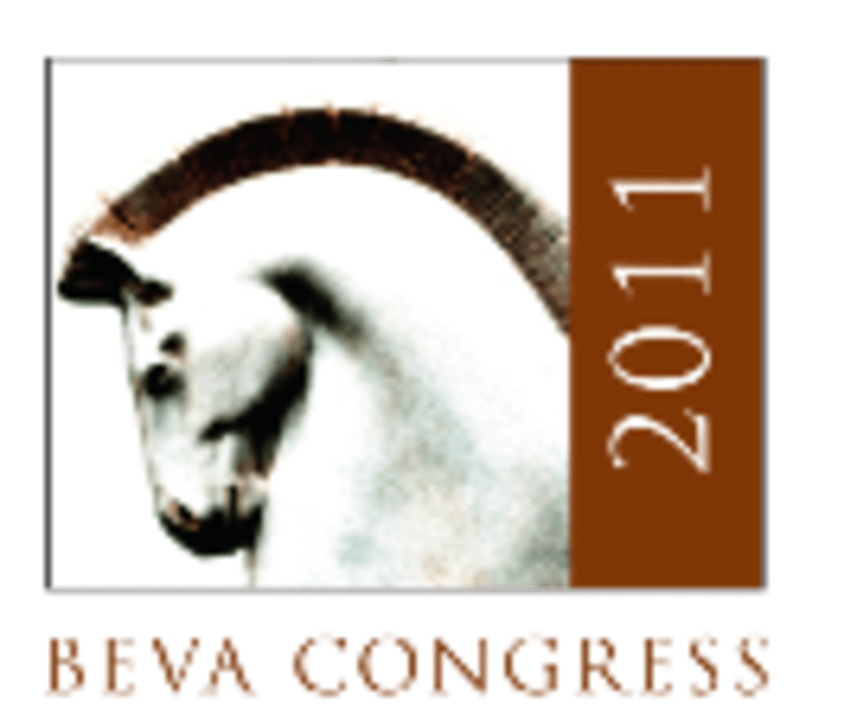 British Equine Veterinary Association New Book Celebrates 50th Anniversary