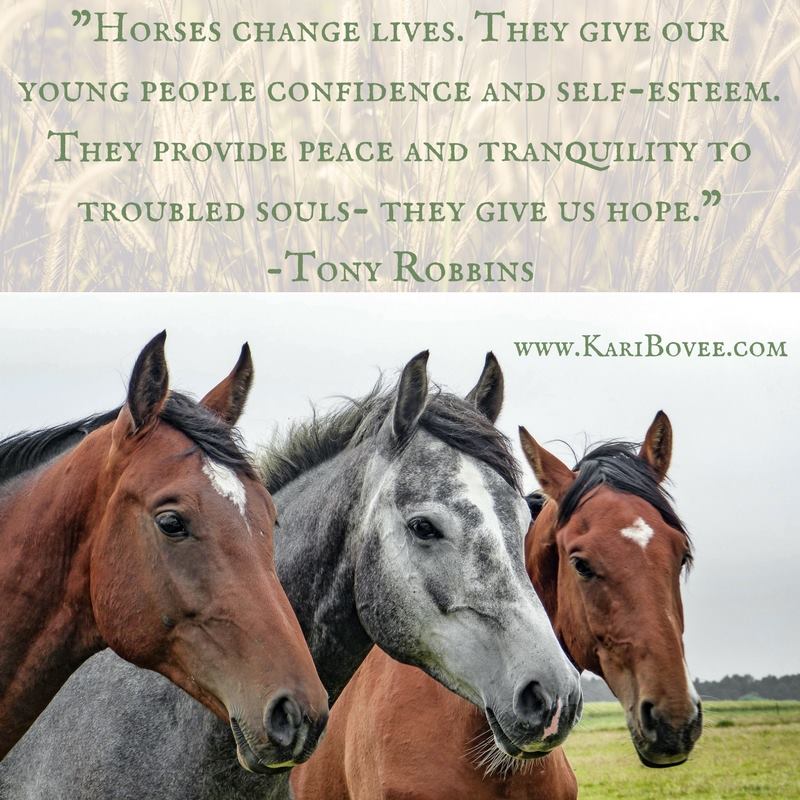 HORSES Archives Equus Plus