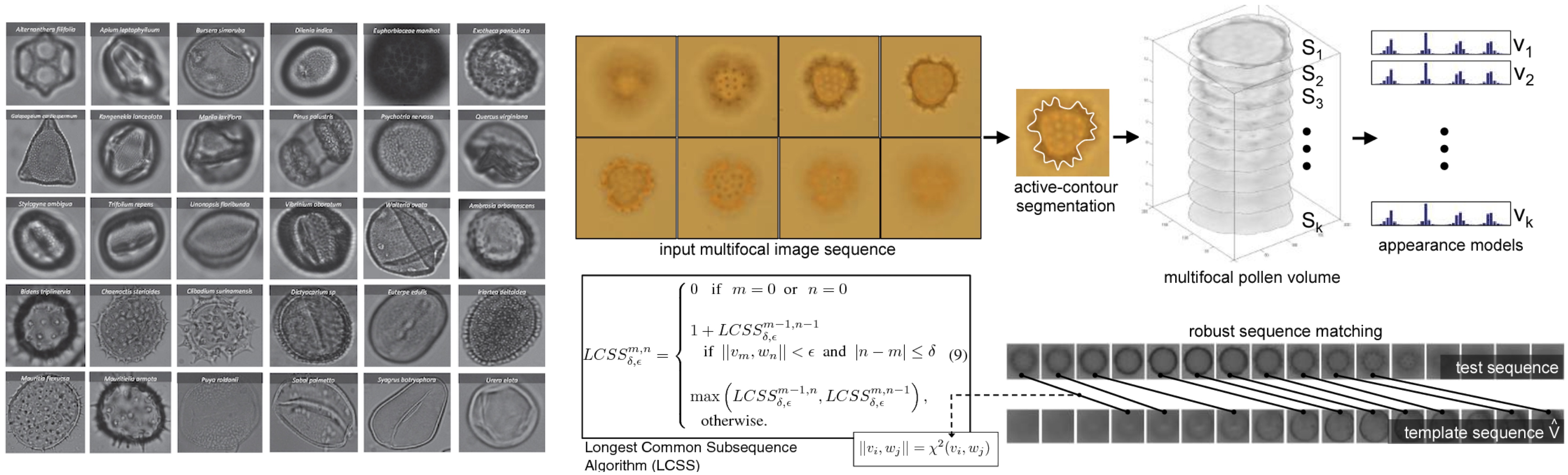 Seeing Pollen Grains