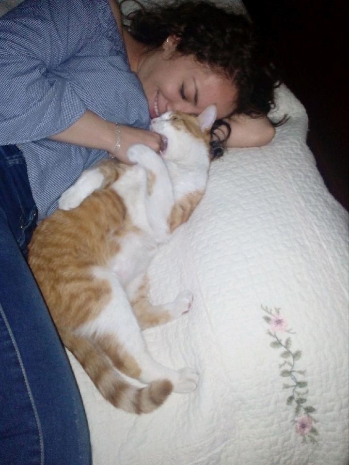 Why Do Cats Give Love Bites My Cat Bit My Weenus