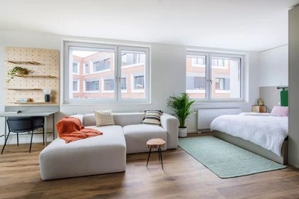 Student housing, rooms and apartments for rent in Münster Erasmus Play