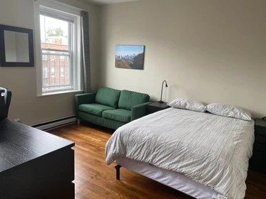 304 Flatshare in Boston Erasmus Play