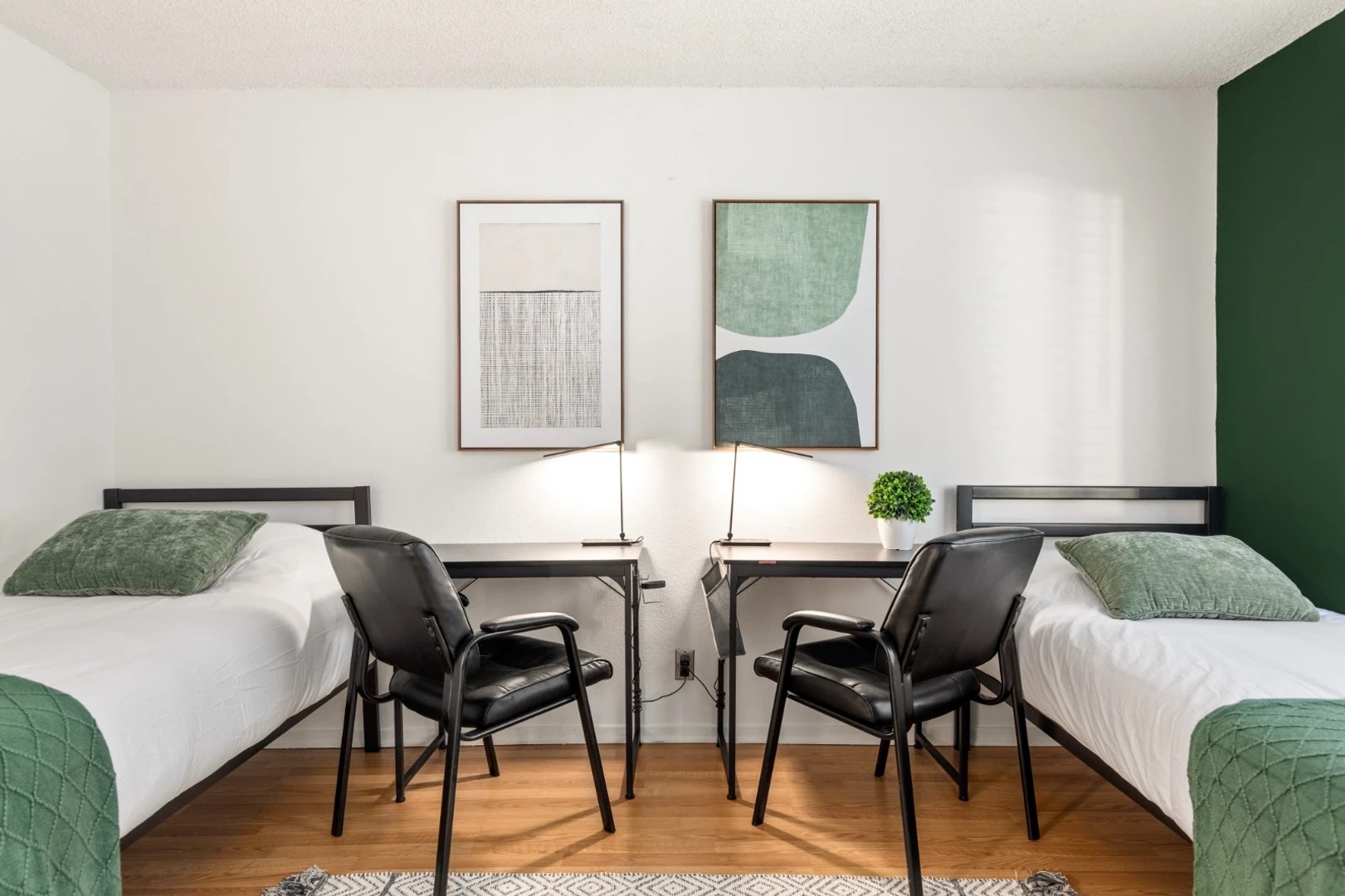 16 Shared rooms for rent in Los Angeles Erasmus Play