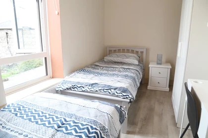 85 shared rooms for rent in Dublin Erasmus Play