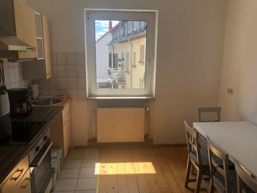 Student housing, rooms and apartments for rent in Kaiserslautern