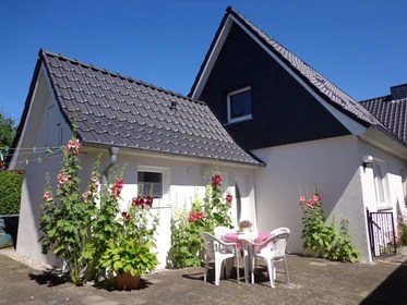 Student housing, rooms and apartments for rent in Kiel Erasmus Play