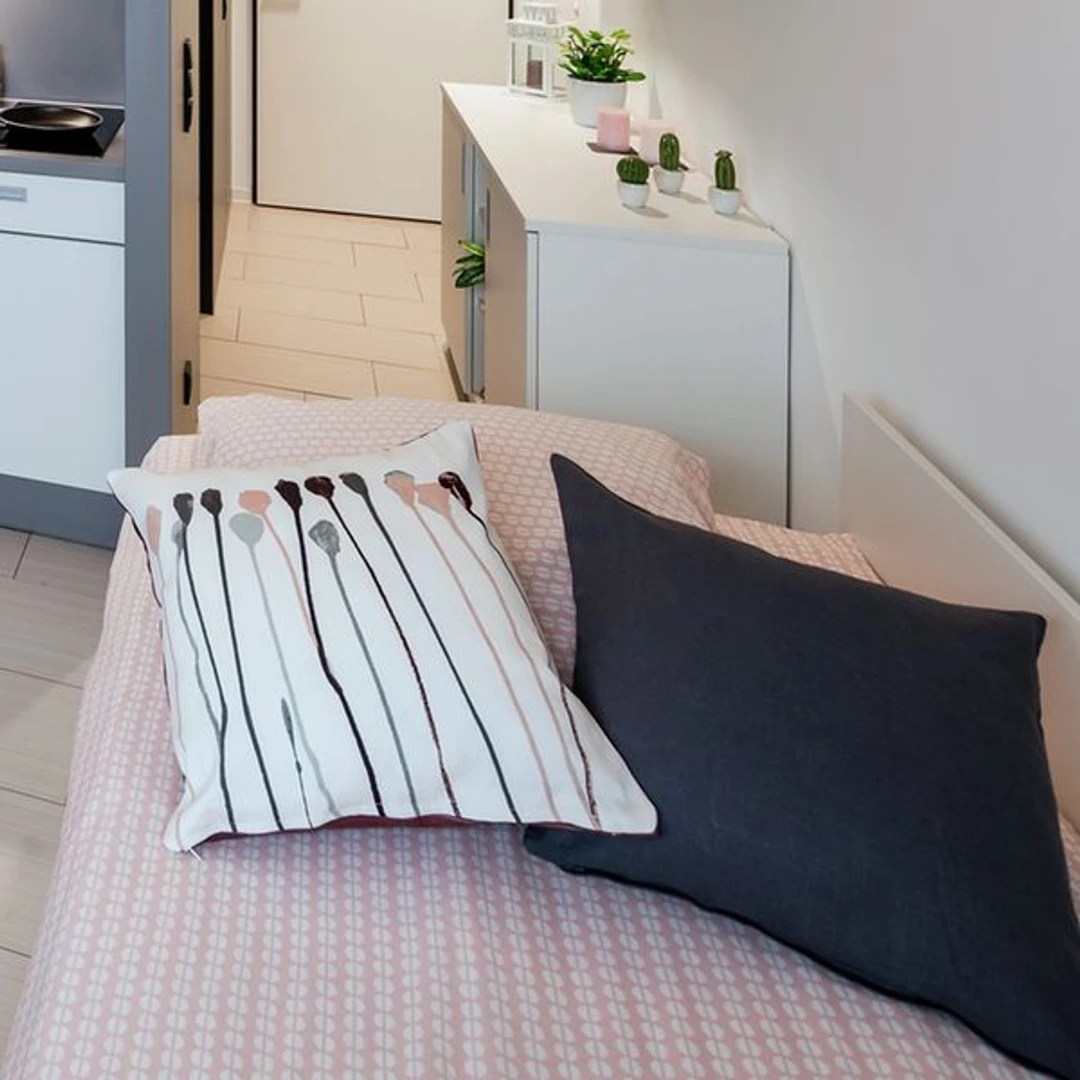 250 Furnished studios for rent in Frankfurt Erasmus Play