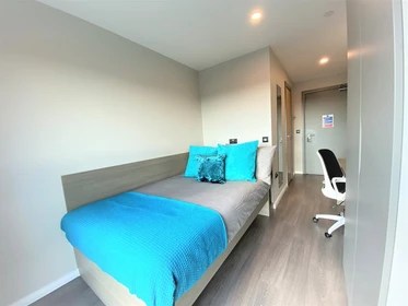 47 Private rooms for rent in Belfast Erasmus Play