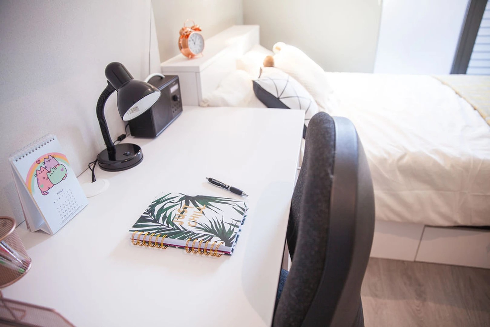 391 Student halls in Exeter Erasmus Play