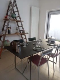 Student Housing in Ghent Rooms and Apartments for Rent Erasmus Play