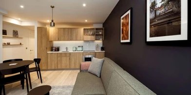 715 Flatshare in Edinburgh Erasmus Play