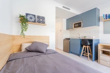 532 Furnished studios for rent in Valencia Erasmus Play