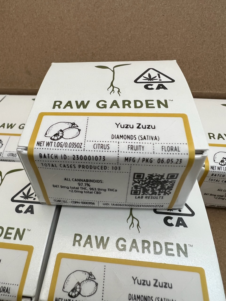 1G Raw Garden Diamonds Digital Art ERB HUB