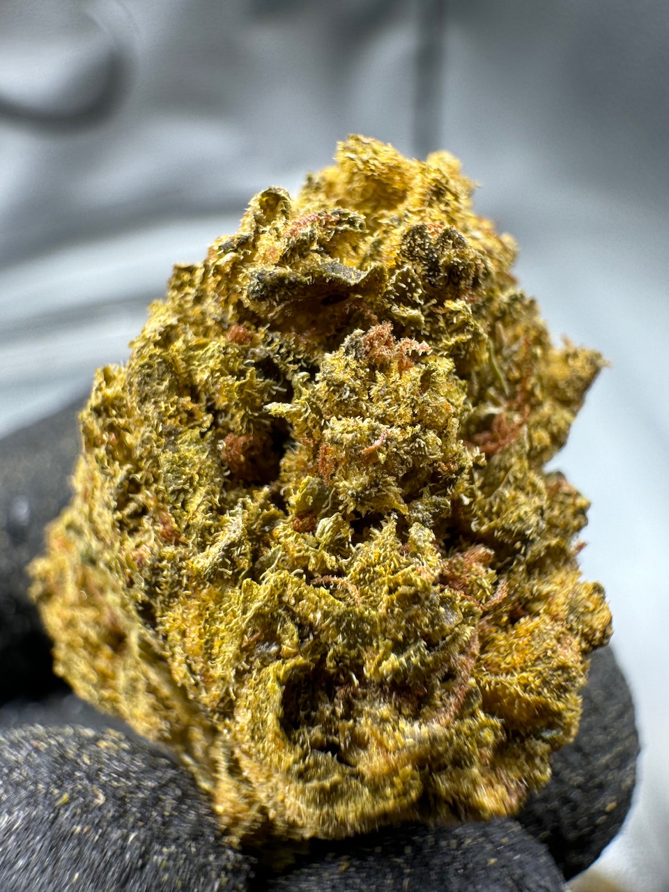 Acapulco Gold Digital Art ERB HUB