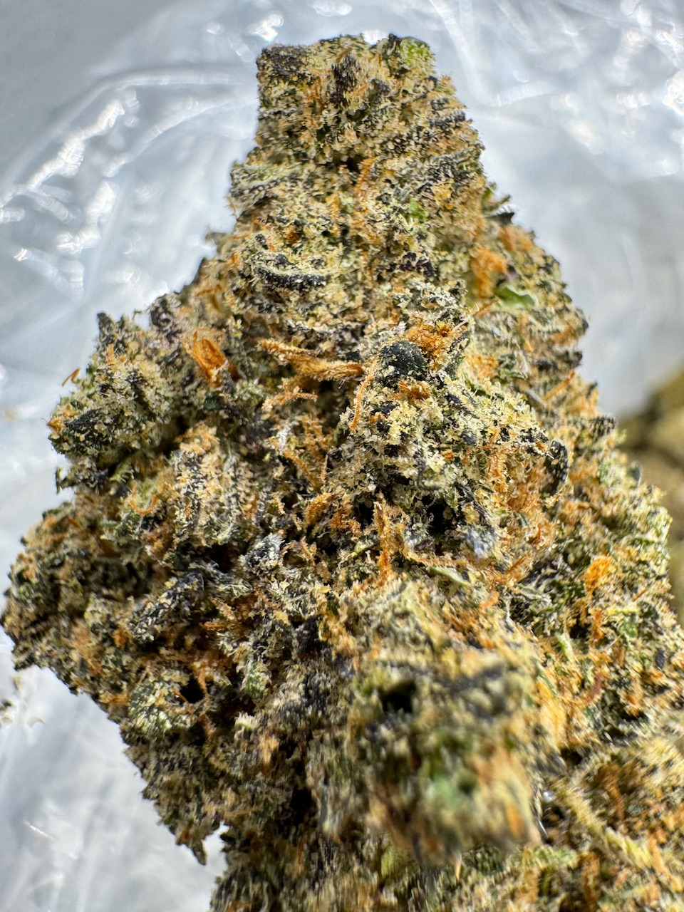 Gumbo Digital Art ERB HUB