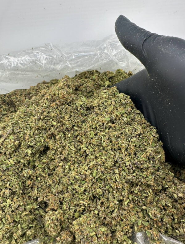 Indoor Shake Gelato 33 Digital Art ERB HUB