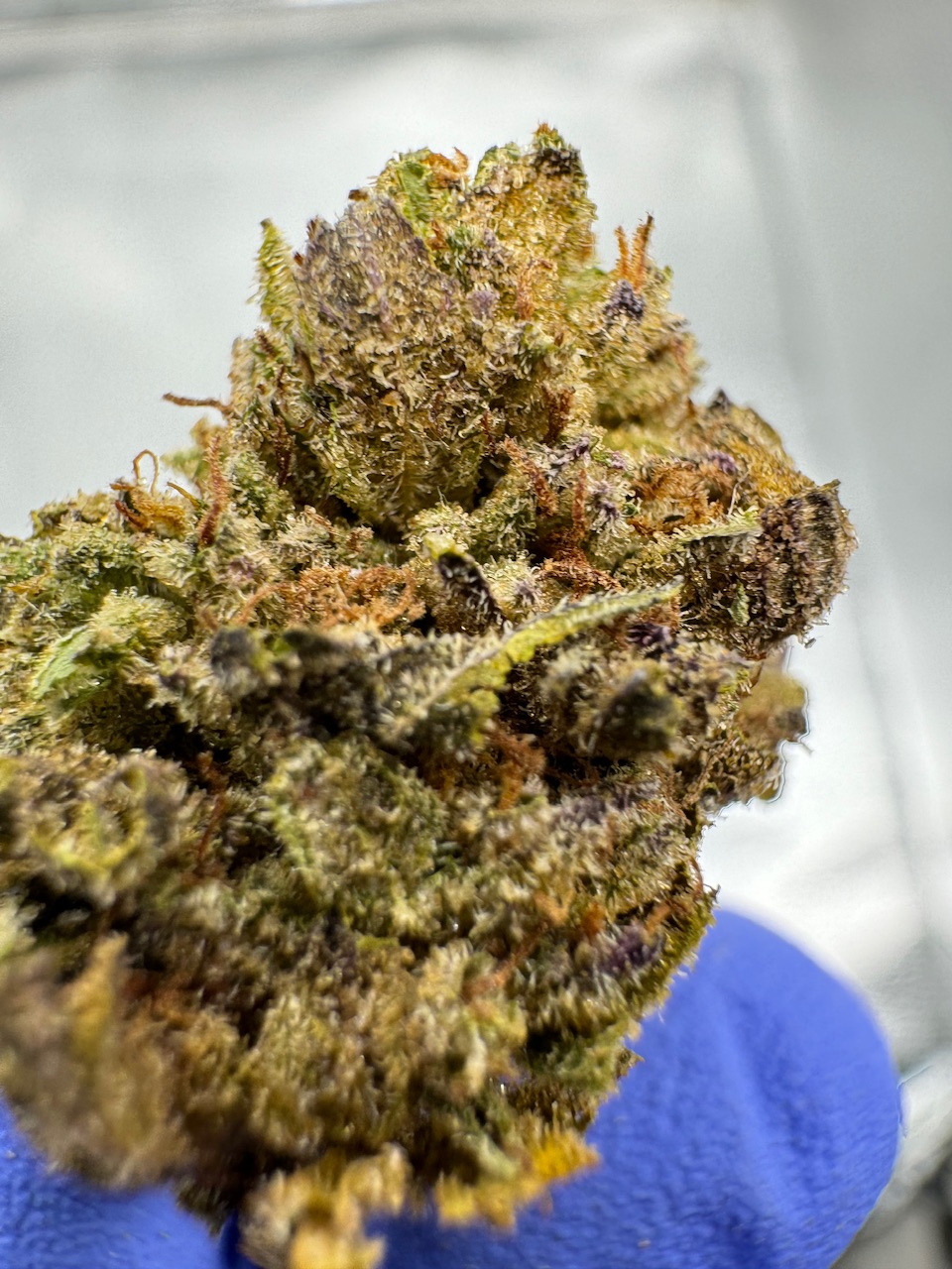 Super Glue Digital Art ERB HUB