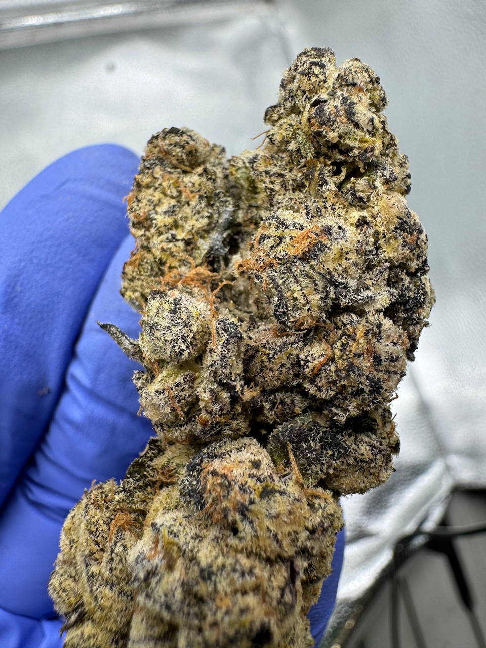 Strawberry Cheesecake Digital Art ERB HUB