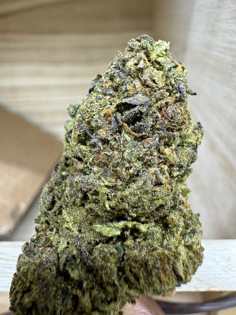 Hawaiian Digital Art ERB HUB